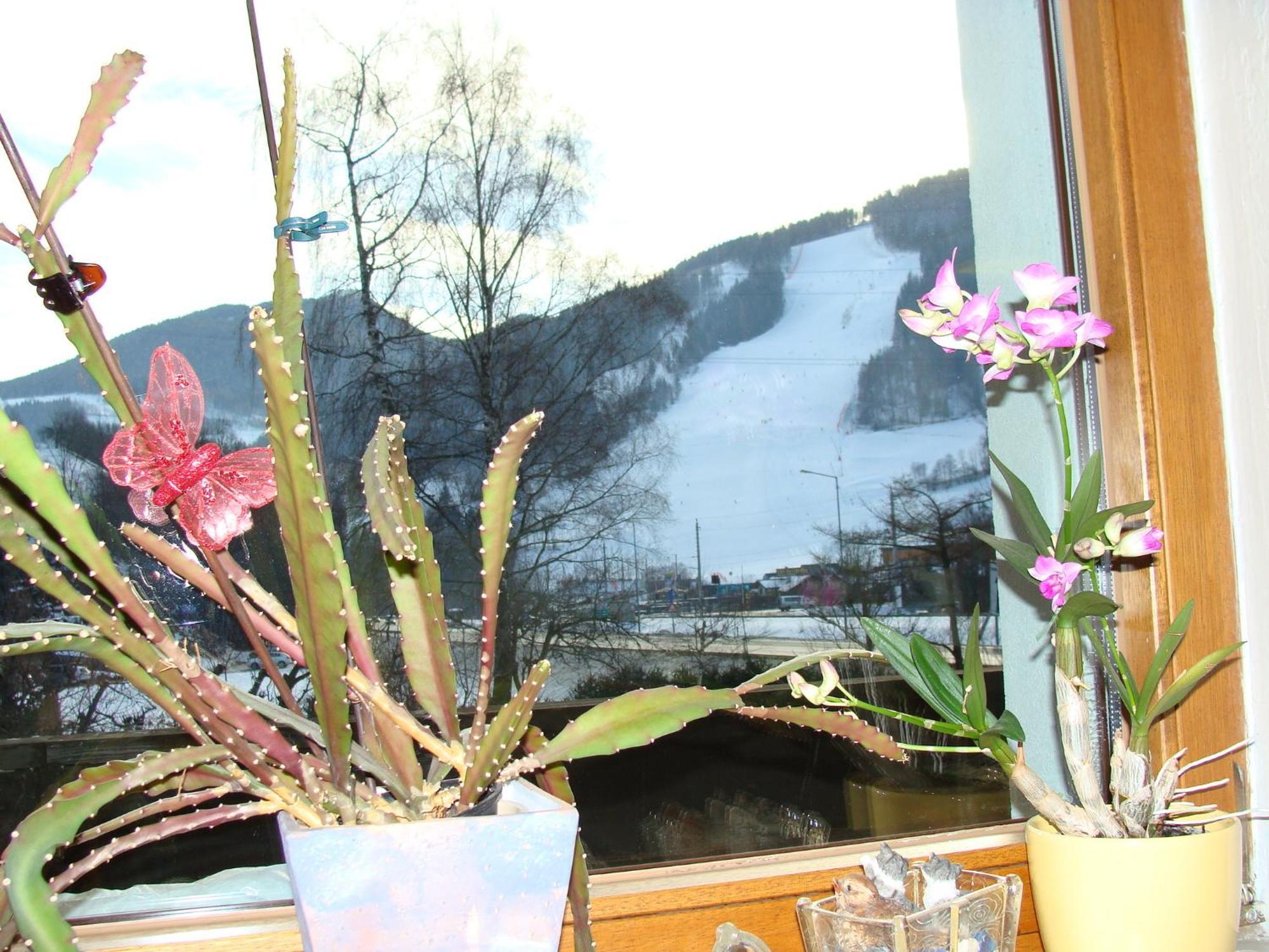 Appartement-Reiteralm Schladming Esterno foto